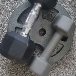 Dumbbell  Weights 