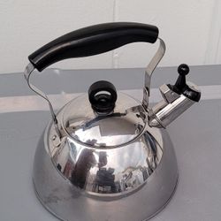 Stainless Steel Tea Kettle $10