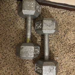 Weights 25 Pounds 