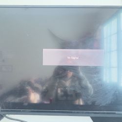 Vizio 39 Inch TV (not Smart)