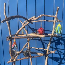 African Grey - Amazon Parrot Custom Made Perch Tree ! All Natural And Loved By All Birdees !!’