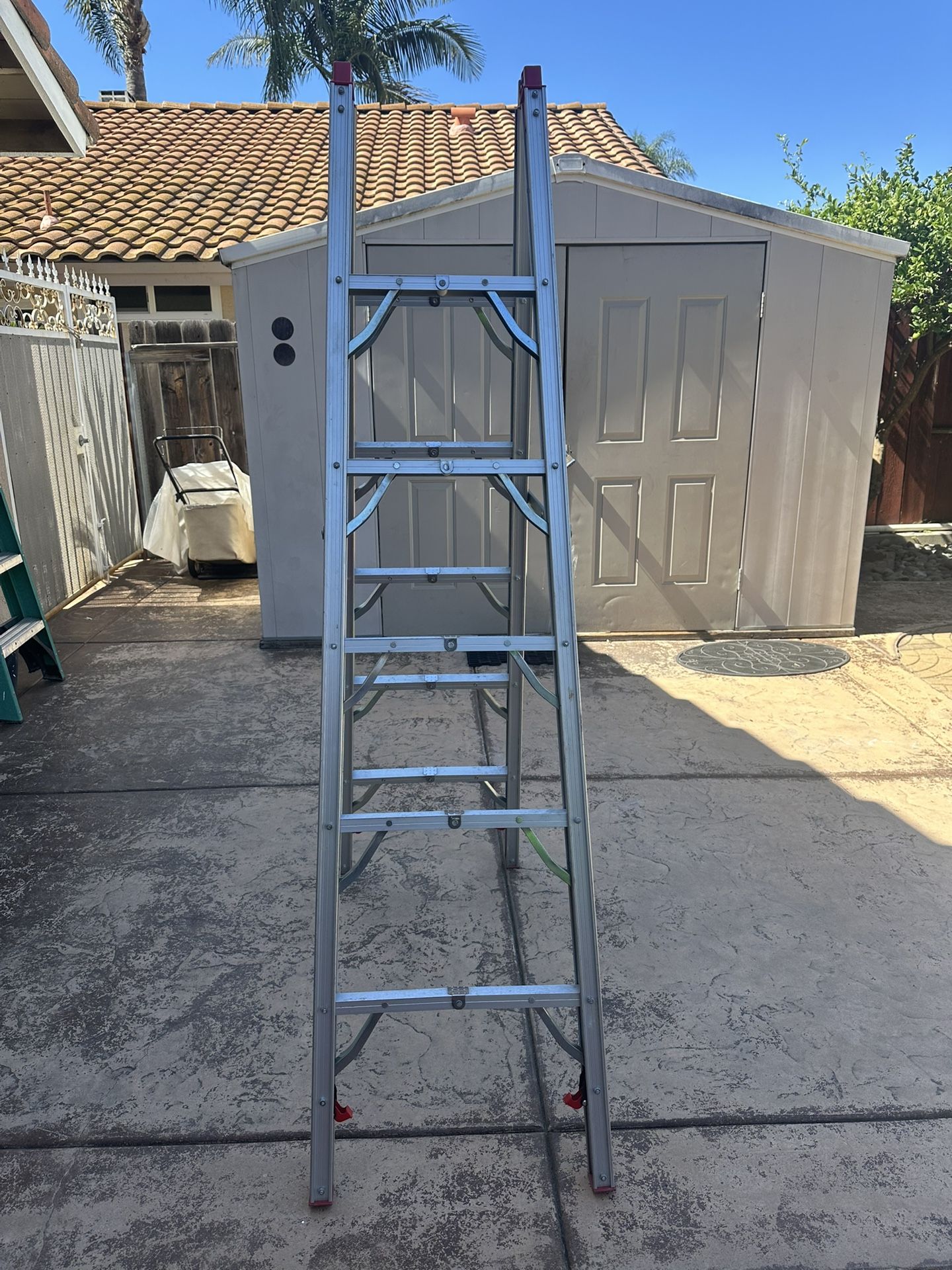 6 Ft Ladder 