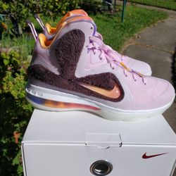 lebron james shoes size 7.5