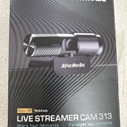 Live Streamer Cam