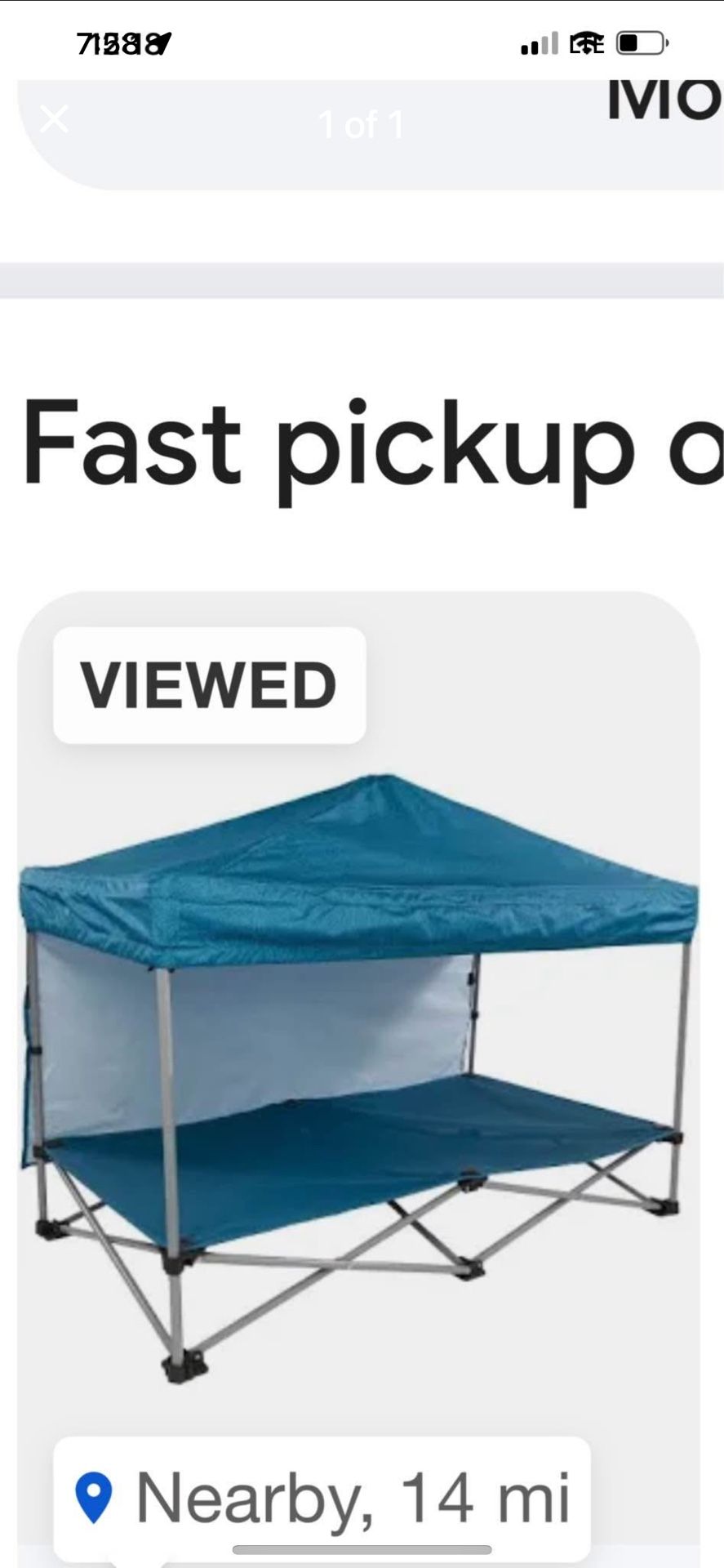 Dog Beach Chair