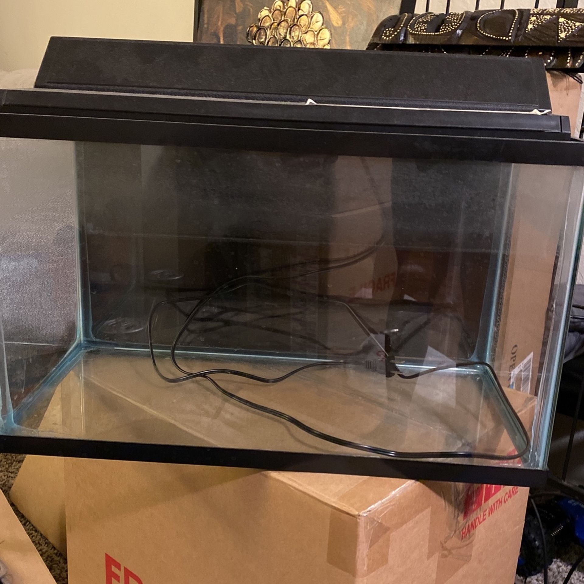 10 Gallon Fish Tank With Accessories