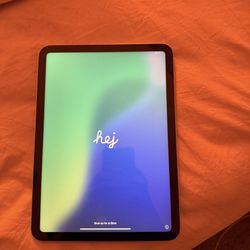 iPad 11th Gen