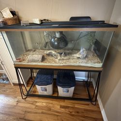 Lizard Tank