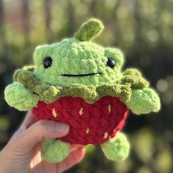 Strawberry 🍓 Frog 🐸 Handmade 🧶 Crochet 🧶 Plushie