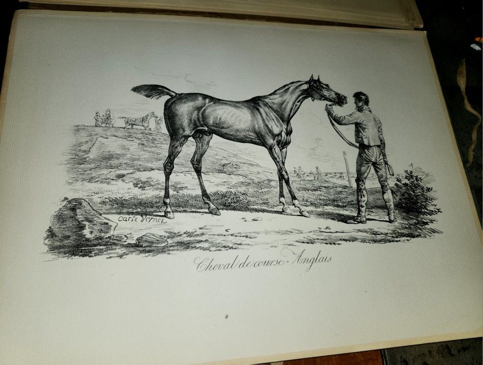 Rare! Carle Vernet Portfolio Of Equestrian Lithographs 1948