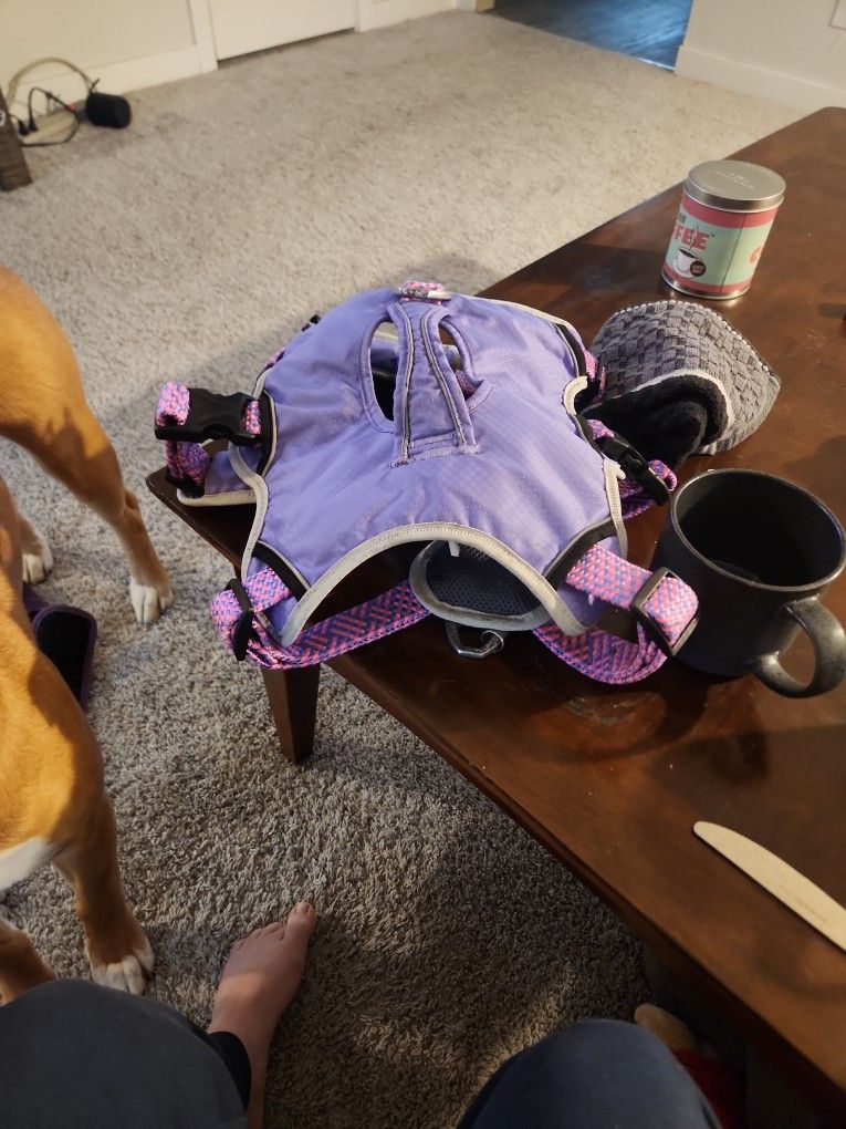 Large Used Harness