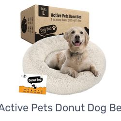 Dog Bes For Large Dog