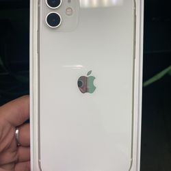 iPhone 11 Special