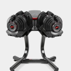 Adjustable Dumbbells/Barbell/Bench Set