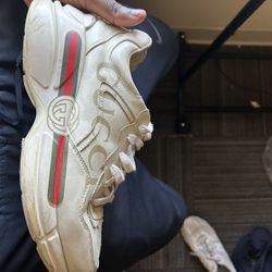 Gucci snake skins
