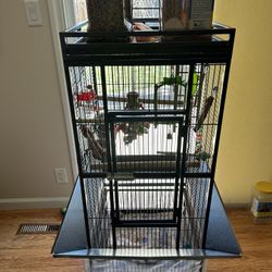 Parakeet Bird With The Cage For Free