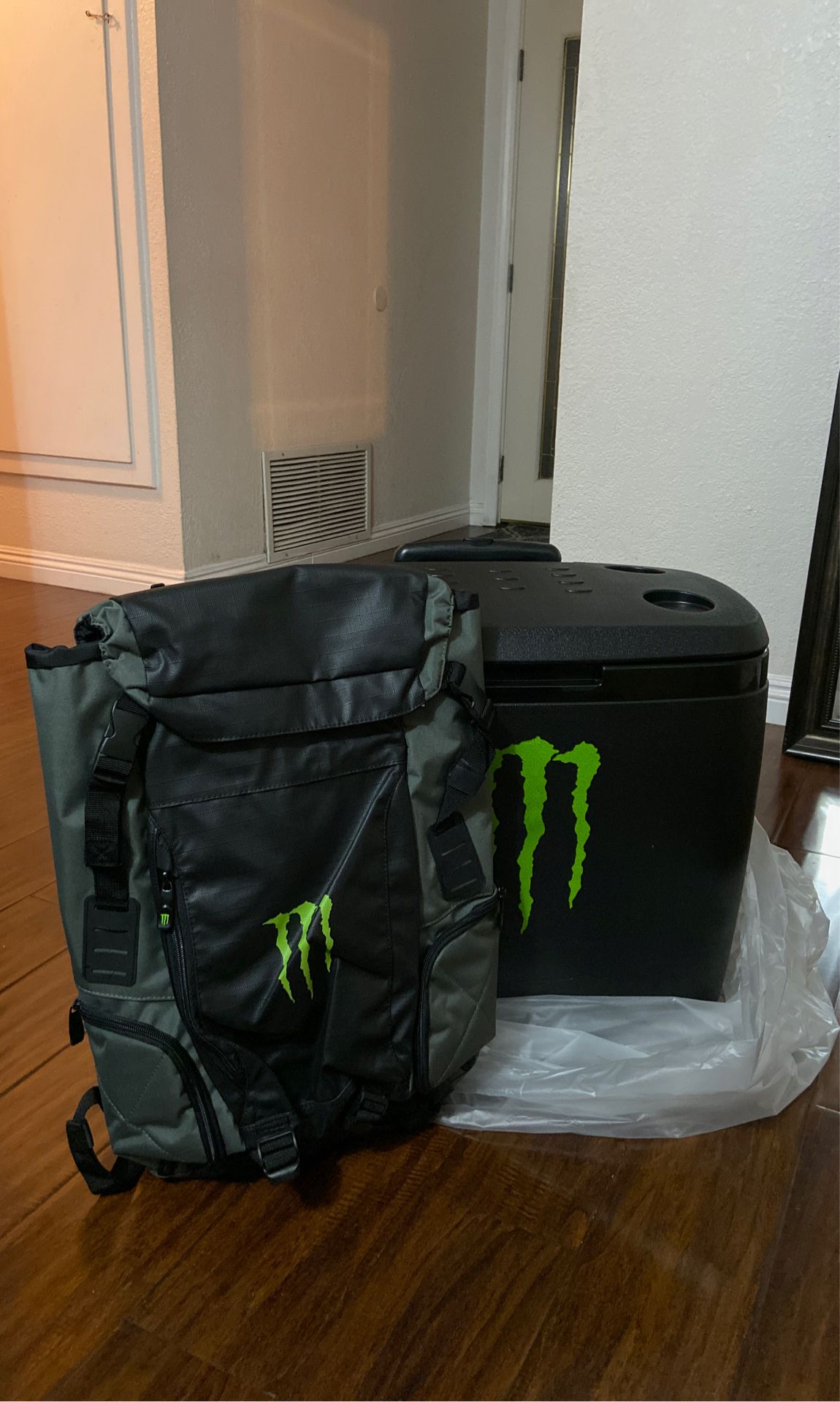 Monster backpack/ ice chest