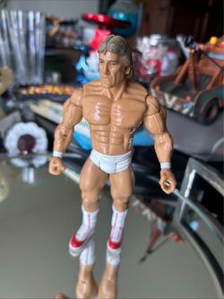 WWE Mr Wonderful Paul Orndorff Jakks Classic Superstars 5 Wrestling Figure