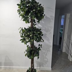 Fake Plant ,about 7 Feet tall