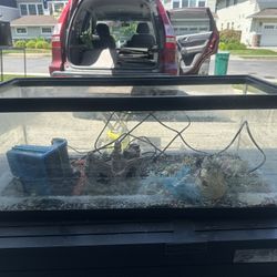 20 gallon fish tank