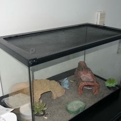 10 Gallon Tank For Sale With Lid