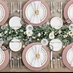 6 Packs Of Light Pink Plates 