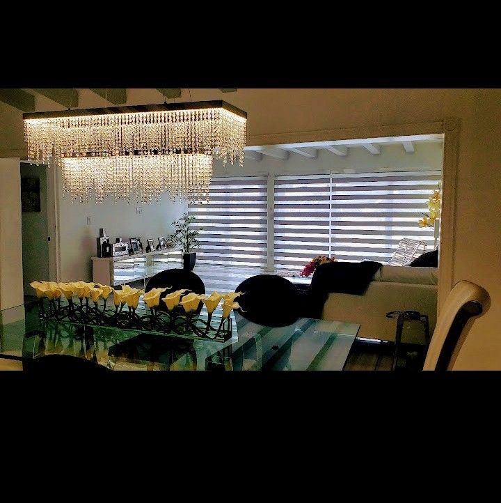 Zebra Shades Blackout Roller Shades