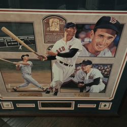 TED WILLIAMS  Danny Day Litho FRAMED