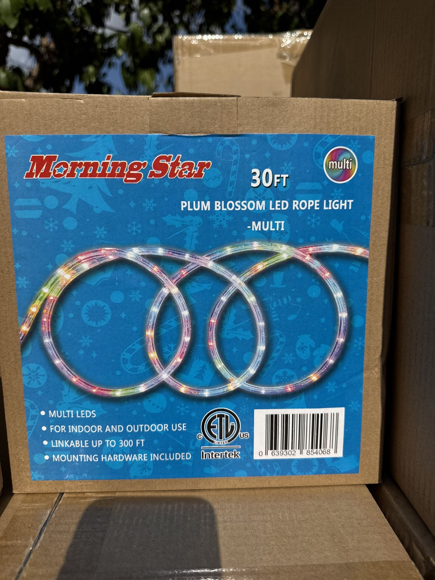 Christmas Led Rope Light