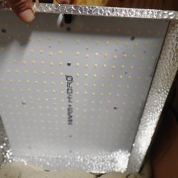 Grow Light