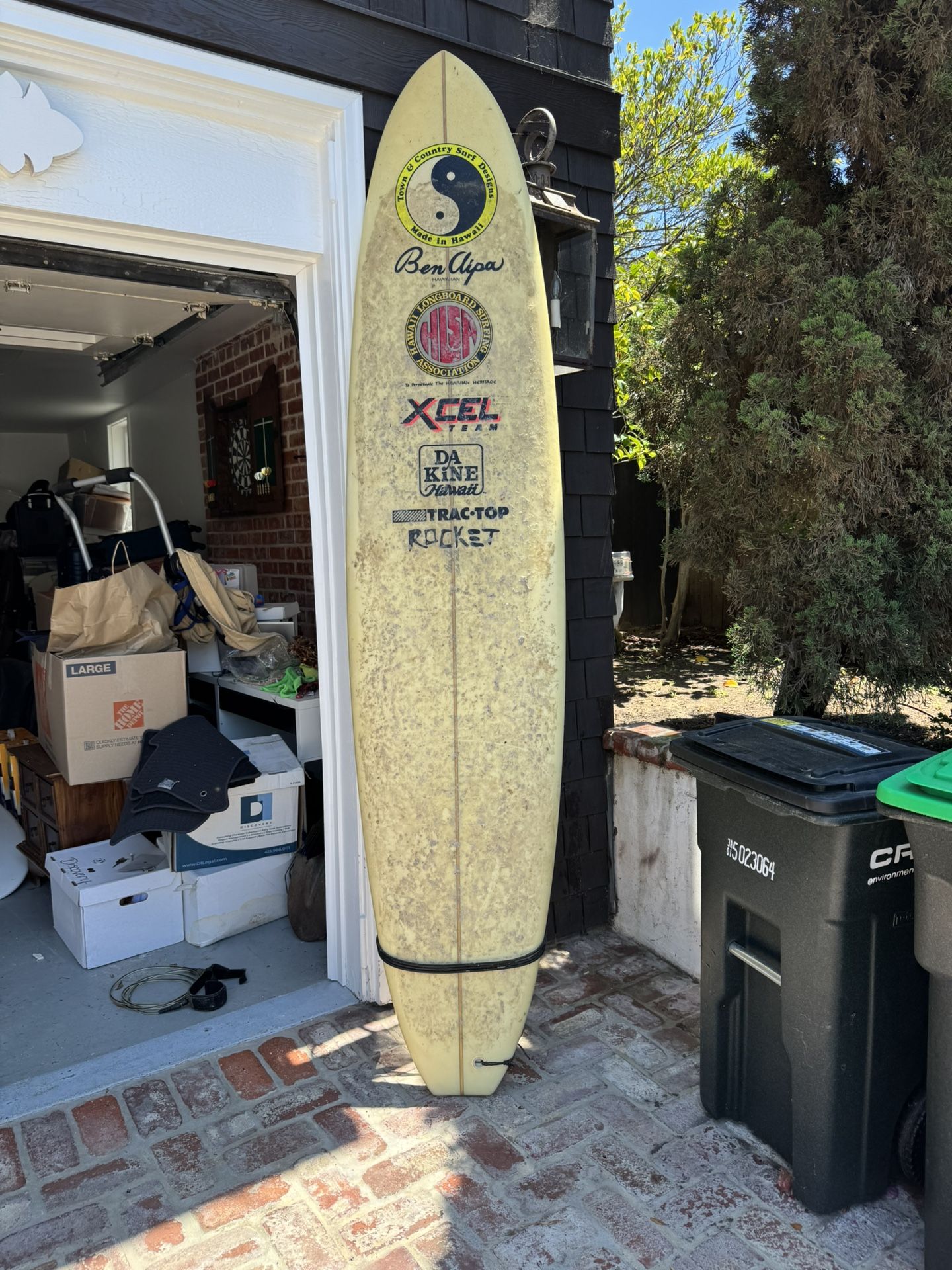 Surfboard (longboard) 8’