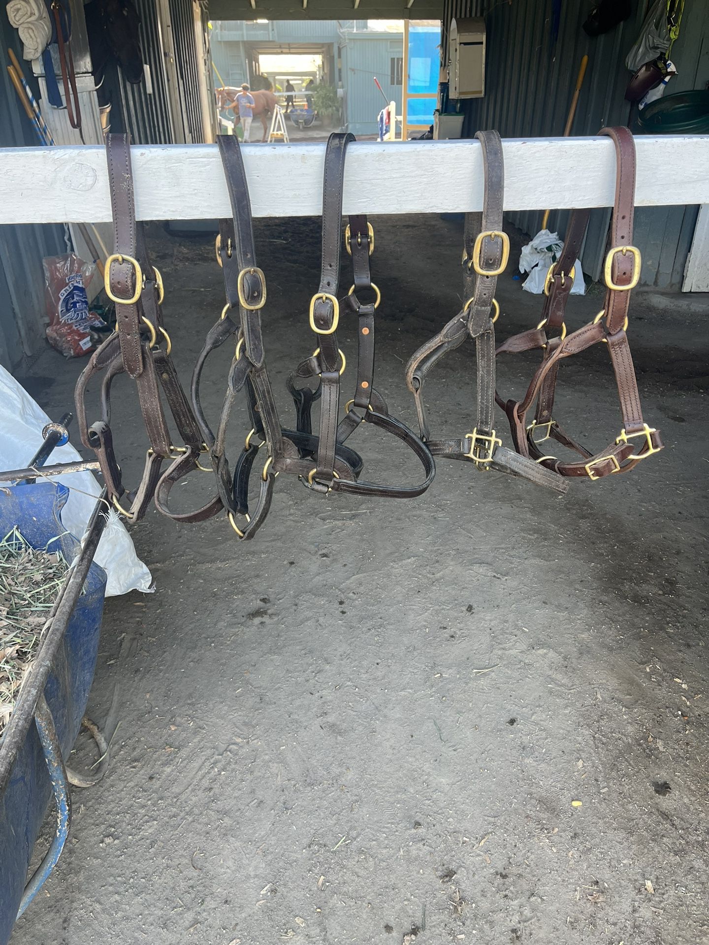 Halters, Nylon And leather