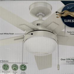 Brand New Ceiling Fan 44”