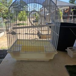 Small Bird Cage