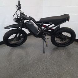 E bike