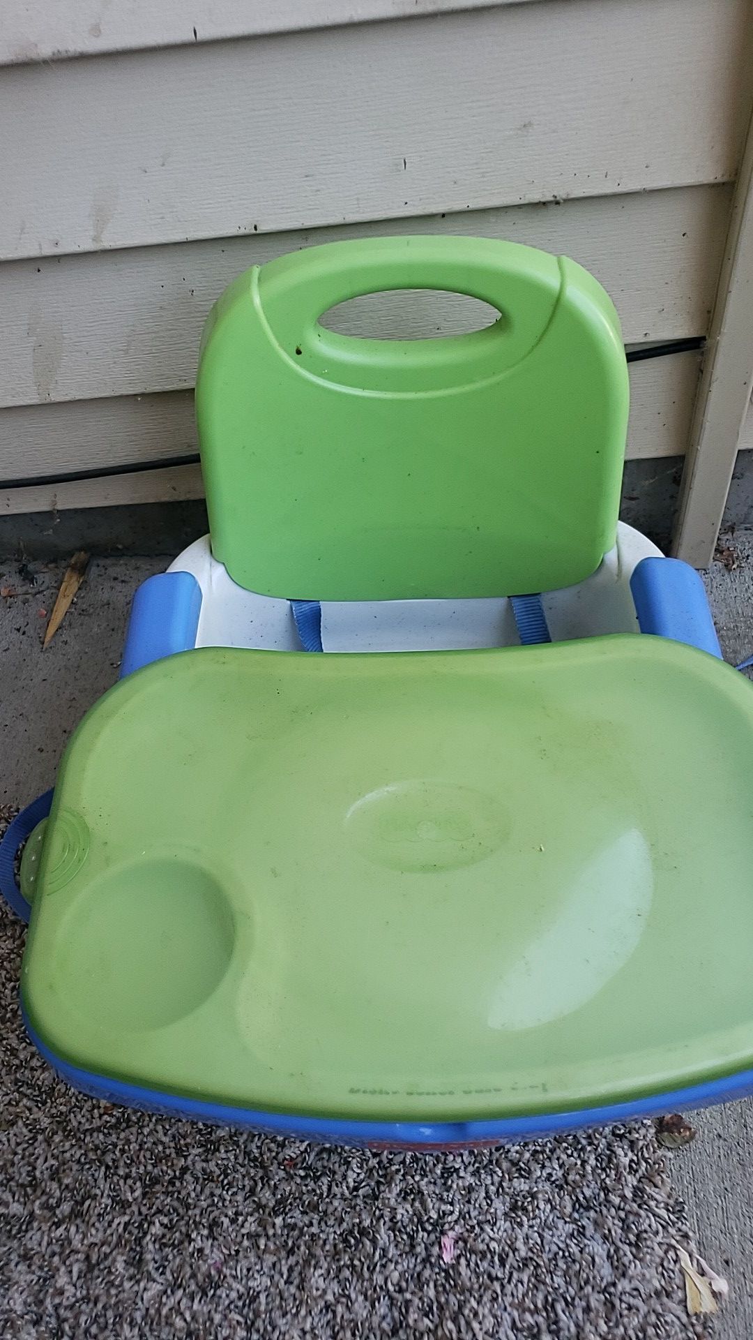 Fisher price booster chair