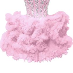 Homecoming Dress/ Quinceanera 