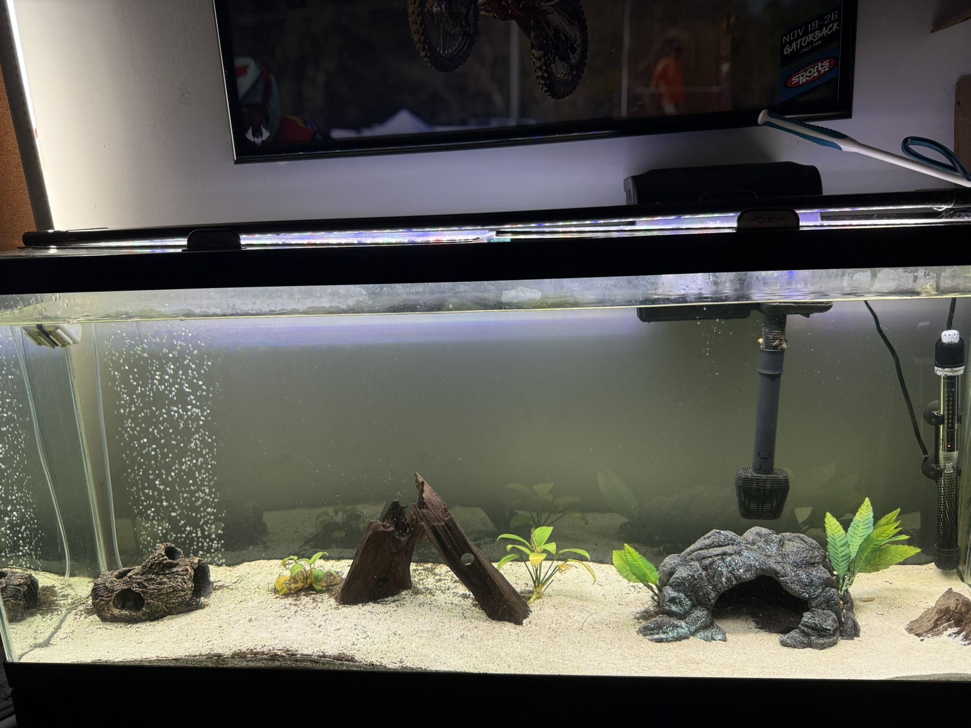 55 gallon fish tank
