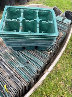 Grow the seeds Container.