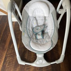 Baby Swing