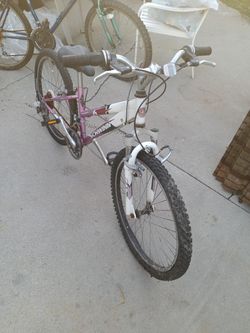 Schwinn Ranger 2.4 FS