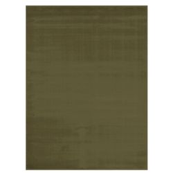 8/10 Brand New Sage Green Rug Carpet