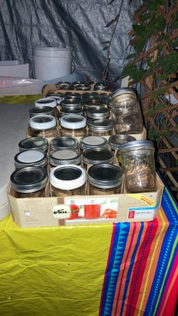 Preservative Jars $12 To $15 Per Dozen/qty 12