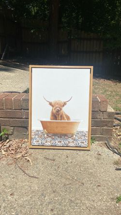 Cow in the tub