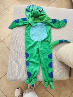 Dinosaur Custom 4-7