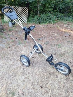 Bagboy express golf cart