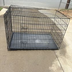 Xxl Cage 
