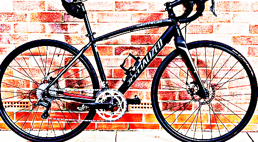 FREE bike sport