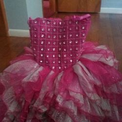 Girl dress size 4t. Pink and silver.