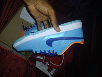 Nikes Ducks